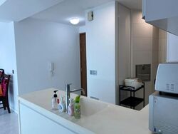 Suites At Orchard (D9), Apartment #293594771
